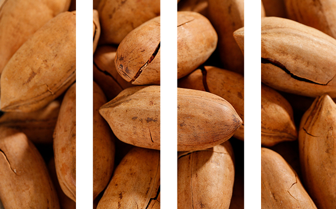 种植AI明星做爰高潮